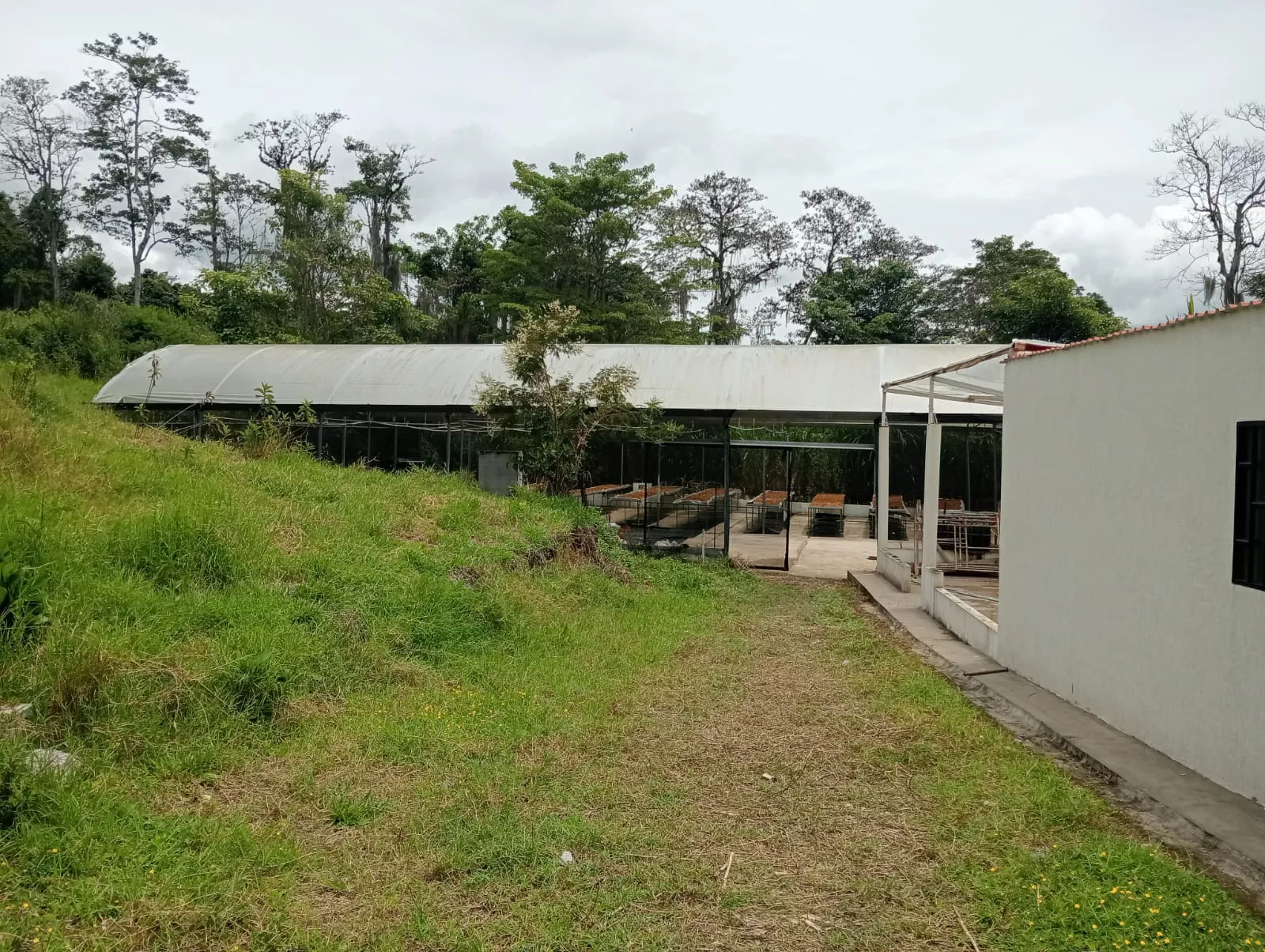 Imagen visión Cañapack